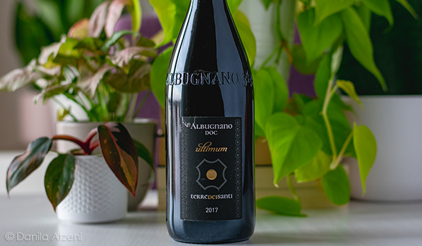 Albugnano Ultimum 2017 Terre dei Santi