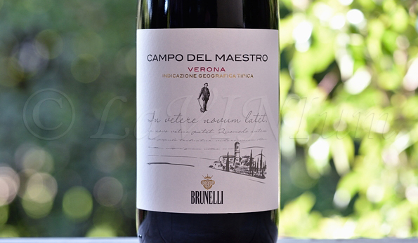 Campo del Maestro 2018 Brunelli