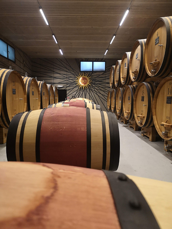 Luce della Vite bottaia