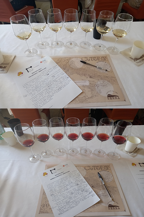 Orizzontale 2018 di Erbaluce e Carema