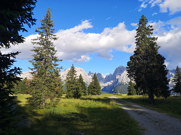 Sentiero dal rifugio Malga Ritorto