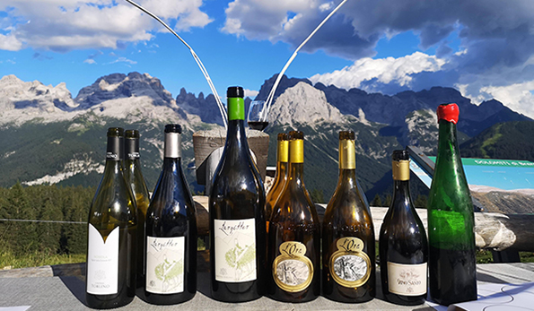 Vini da Nosiola di Cantina Toblino