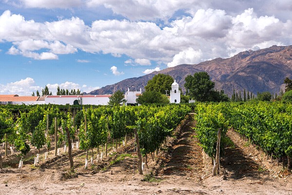 Don David Malbec Reserve 2019 Bodega El Esteco