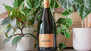 Franciacorta Pas Dosé Pasrosé 2016 Mosnel