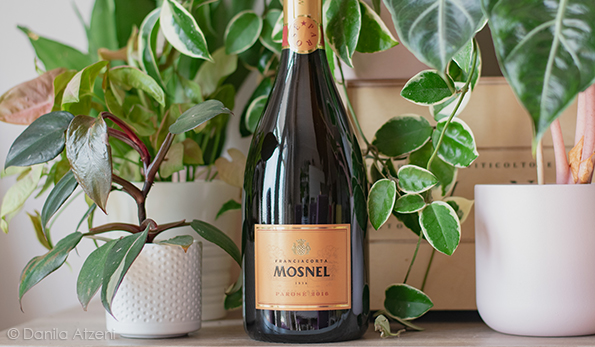 Franciacorta Pas Dosé Parosé 2016 Mosnel