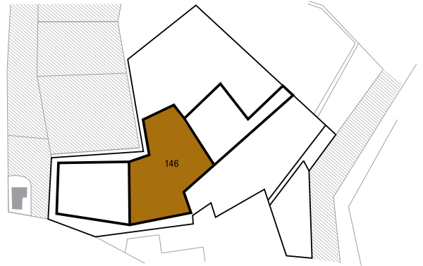 Chardonnay parcella 146