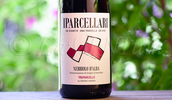 Nebbiolo d’Alba Superiore Treparcelle 2019 I Parcellari