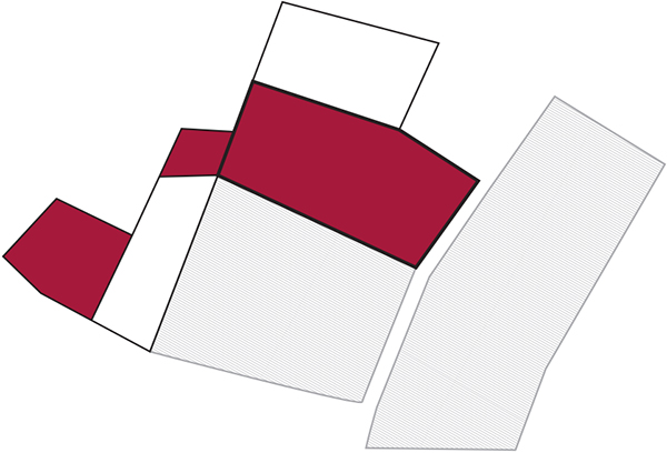 Nebbiolo Treparcelle