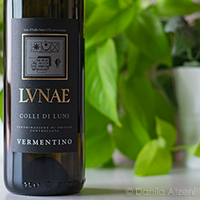 Colli di Luni Vermentino Etichetta Nera 2021 Lunae