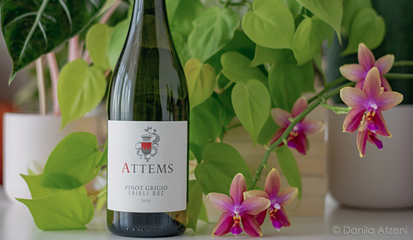 Friuli Pinot Grigio 2021 Attems