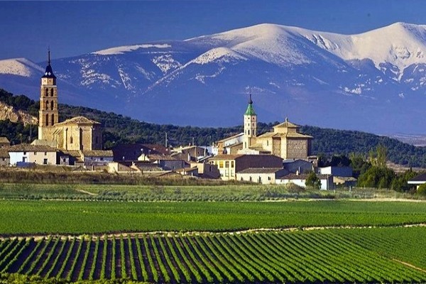 Bodegas Aragonesas
