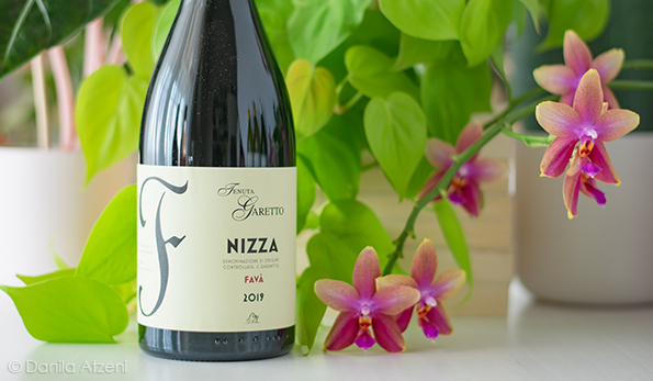 Nizza Favà 2019 Tenuta Garetto
