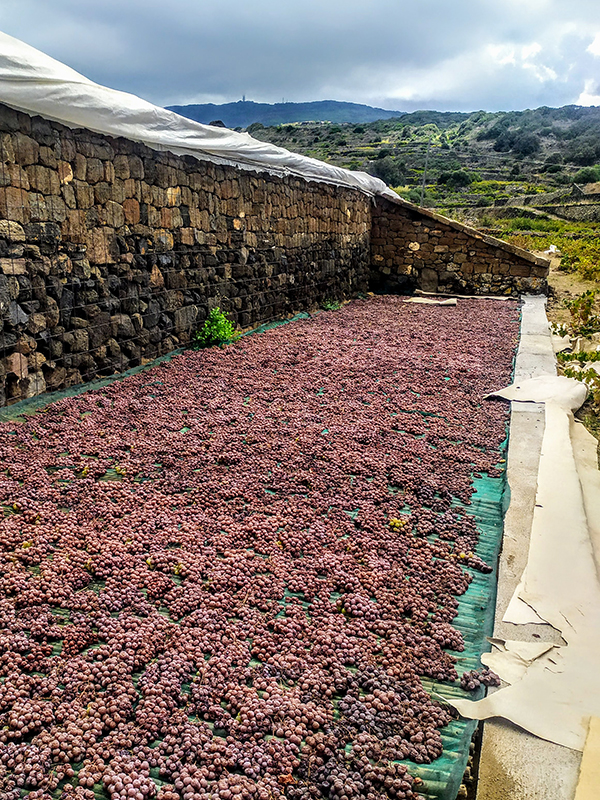 Stenditoio per l'appassimento delle uve