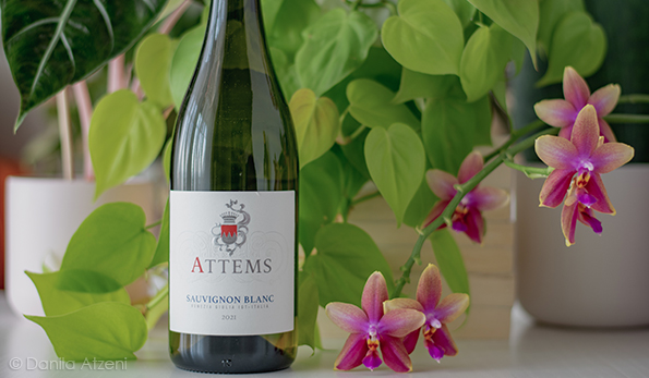Sauvignon Blanc 2021 Attems