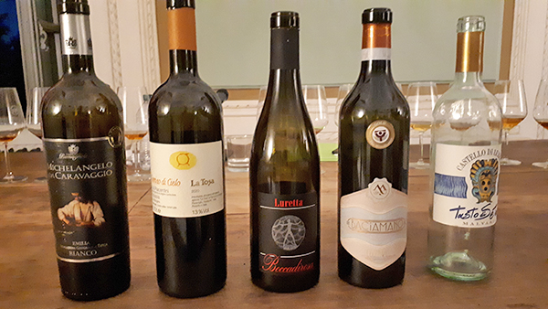 Le malvasie in degustazione