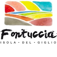 logo Fontuccia
