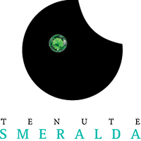 Logo Tenute Smeralda
