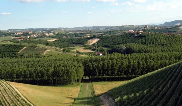 Vigneti nel Chianti