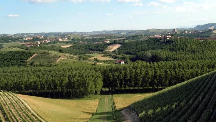 Vigneti nel Chianti