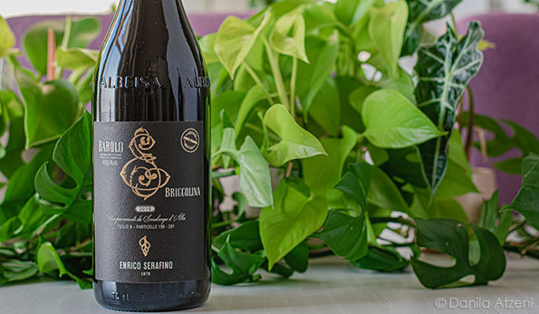 Barolo Briccolina Riserva 2016 Enrico Serafino