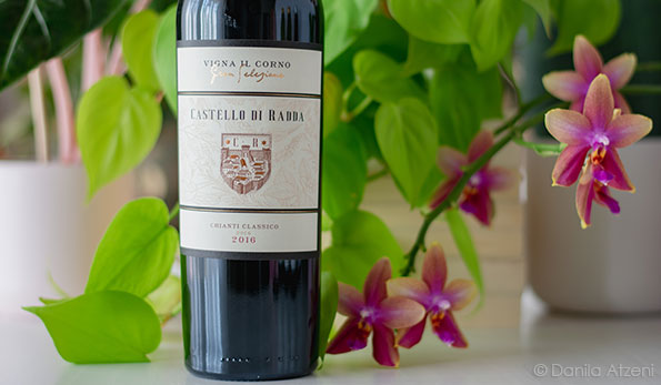 Chianti Classico Gran Selezione Vigna il Corno 2016 Castello di Radda