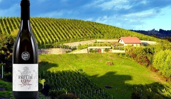 Echo Rdeče 2016 Vinska klet Frelih
