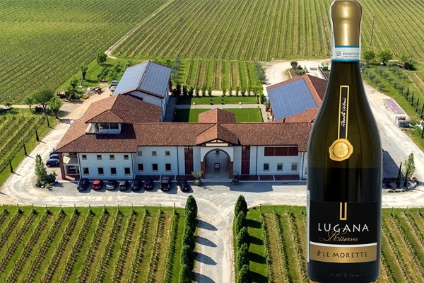 Lugana Riserva 2018 Le Morette