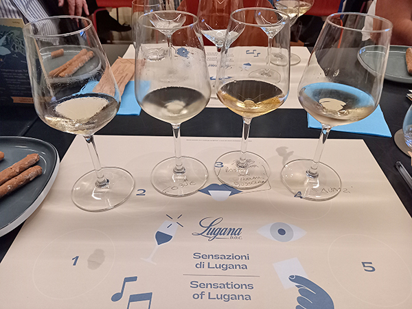 Lugana in degustazione