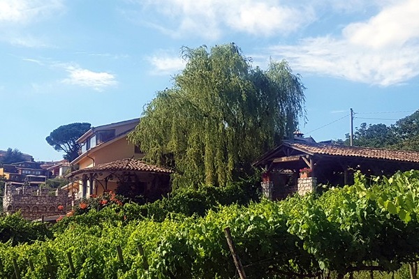 azienda Antonio Caggiano