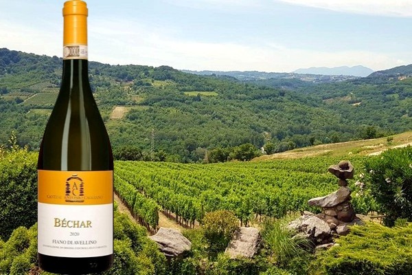 Fiano di Avellino Antonio Caggiano