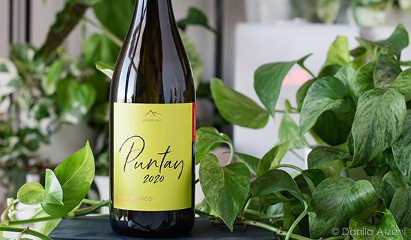 Südtirol-Alto Adige Pinot Bianco Puntay 2020 Erste+Neue