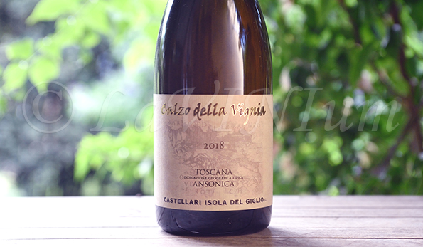 Ansonica Calzo della Vignia 2018 Castellari Isola del Giglio