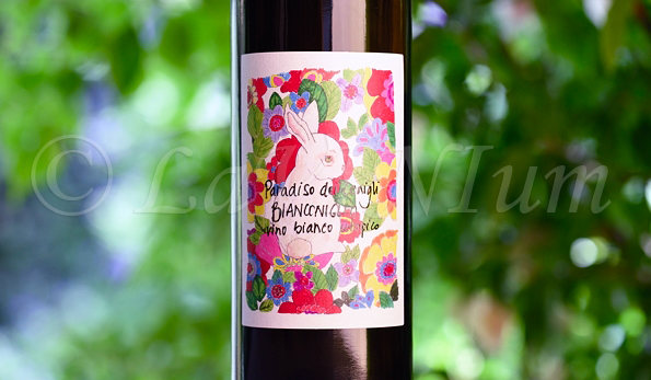 Bianconiglio Vino Bianco Utopico 2020 Paradiso dei Conigli