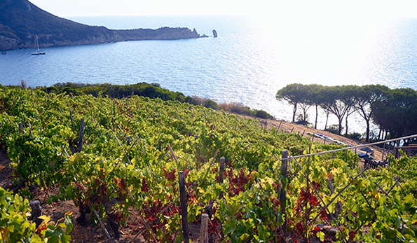 Scorcio su Punta Faraglione