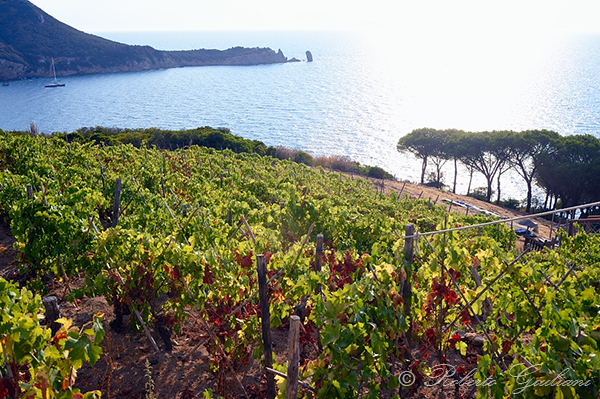 Scorcio su Punta Faraglione