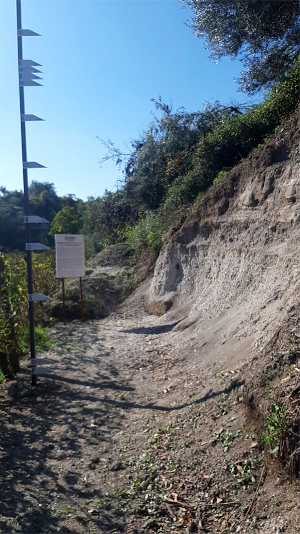 mappa eruzione Vesuvio
