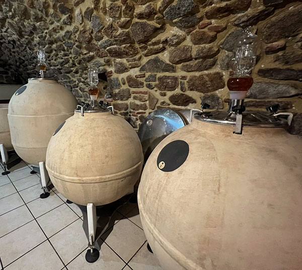 Paradiso dei Conigli Cliver