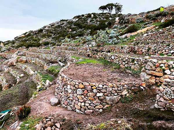 Gli indispensabili muretti a secco