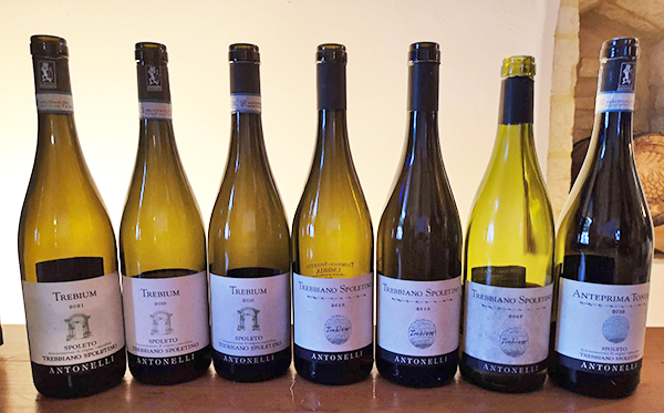 Verticale Trebbiano Spoletino Antonelli