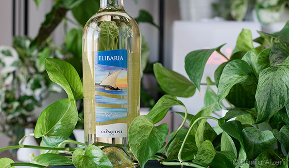 Vermentino di Gallura Elibaria 2021 Contini