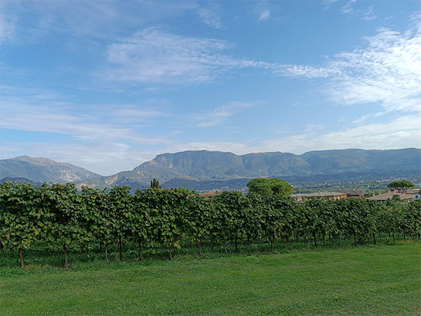 Veduta dall'Alice Relais nelle Vigne, località Carpesica nel Comune di Vittorio Veneto (TV) 