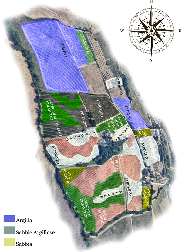 Fattoria La Talosa zonazione per tipologia di suolo