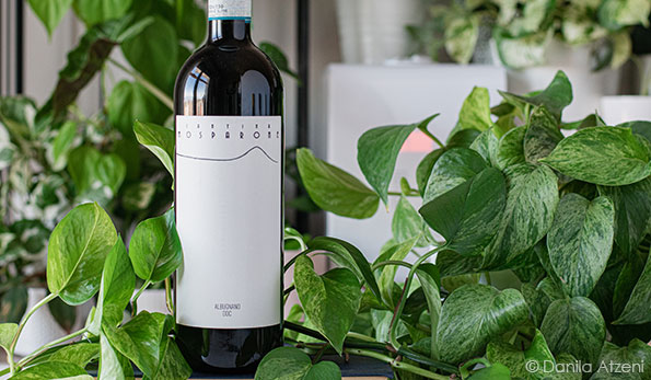 Albugnano 2017 Cantina Mosparone