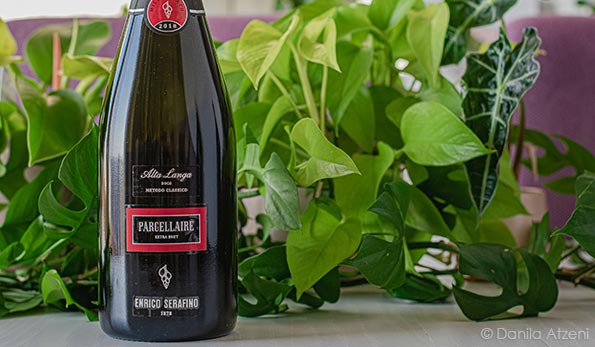 Alta Langa Extra Brut Parcellaire 2018 Enrico Serafino