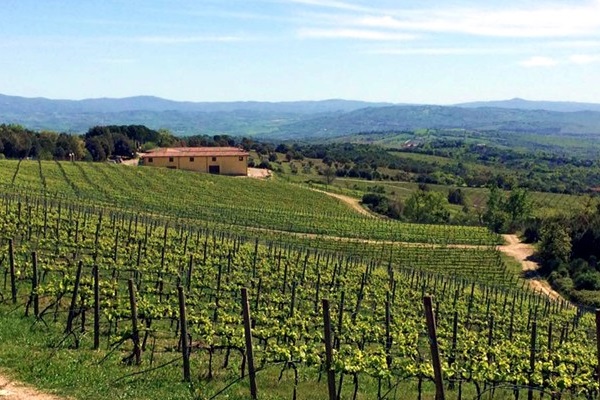 Montecucco Sangiovese ”Viandante” Riserva 2016 della Tenuta L’Impostino