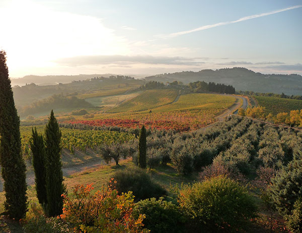 La campagna di Montespertoli vista dalle Fattorie Parri