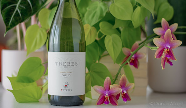 Collio Ribolla Gialla Trebes 2020 Attems