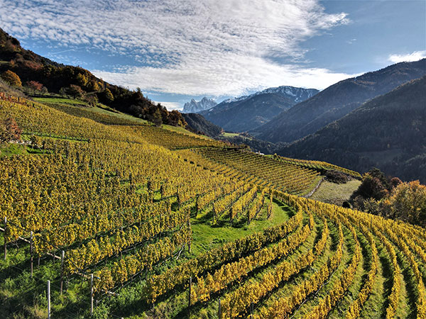 Cantina Valle Isarco