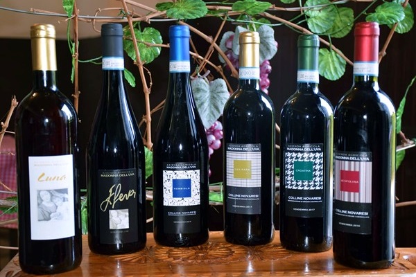 Vini Madonna dell'Uva