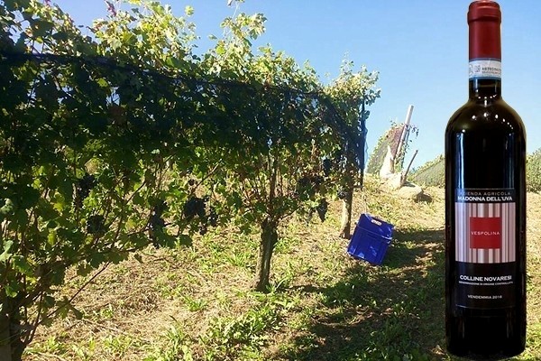 Colline Novaresi Vespolina 2016 Madonna dell'Uva